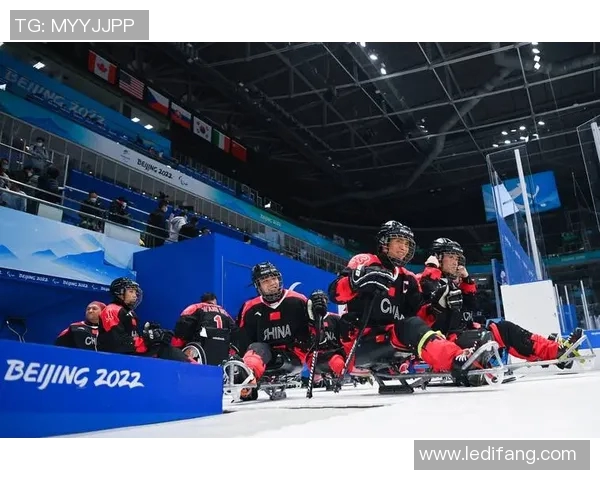 杭州极限运动队如何通过战术创新实现进攻模式的全面升级与突破